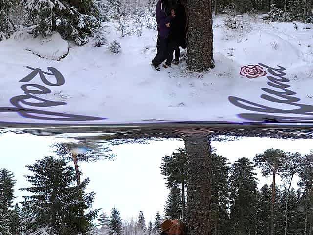 Sex in the winter forest whilst the snow is falling - RosenlundX - VR 360 - 5,7k 30fps