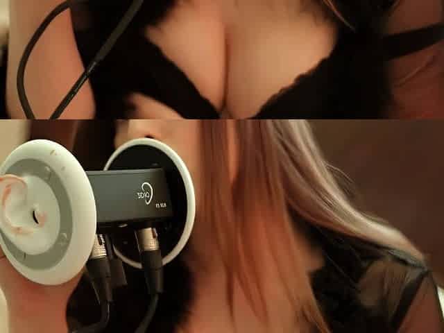 Puffin ASMR - New Camera Setup