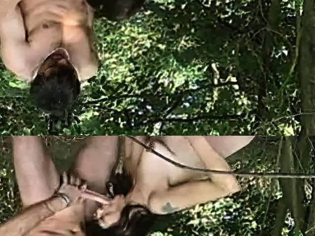 German Public Amateurs 163