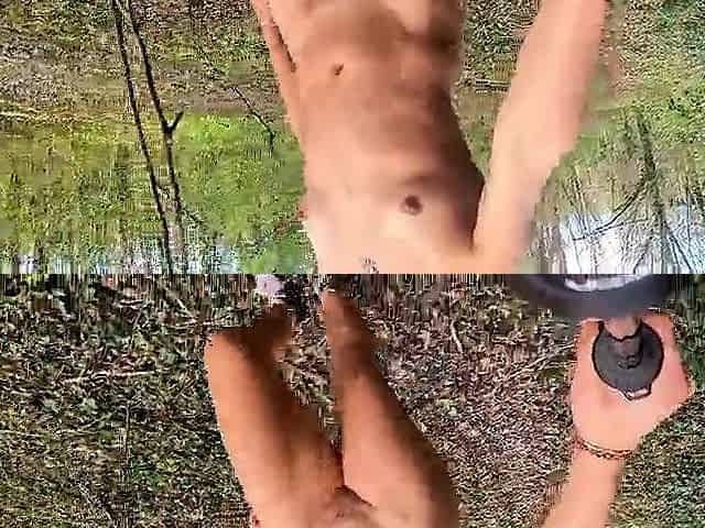 Compilation walks in the woods 'coz I love to be watched by strangers.