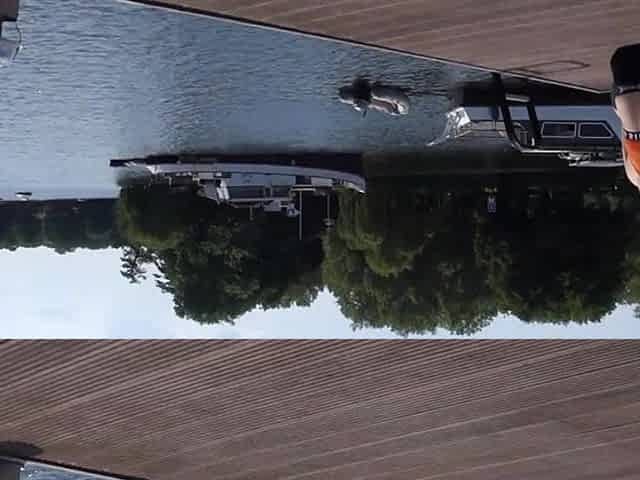Love boat! Romantic vacation turned hawt, coarse and very moist!