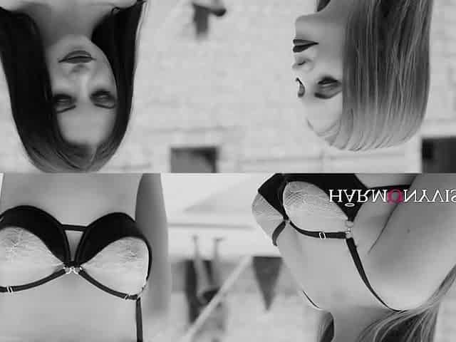 A fantasy fuck - HarmonyVision