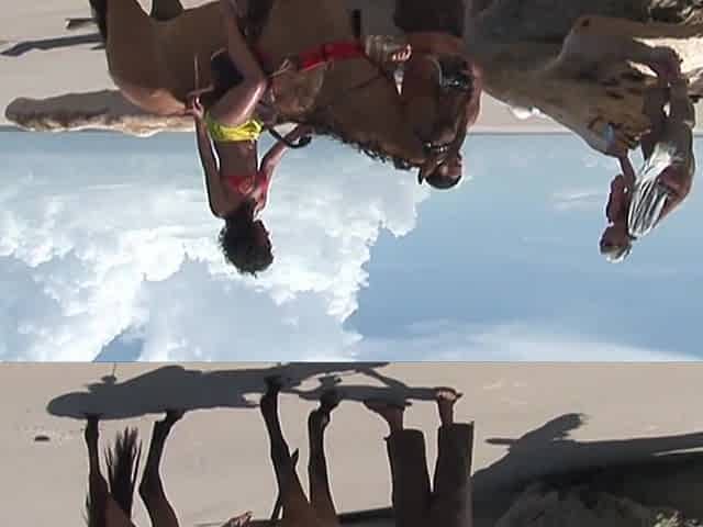 Anal Dp