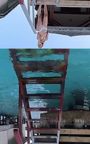 Stranger From the Sea
