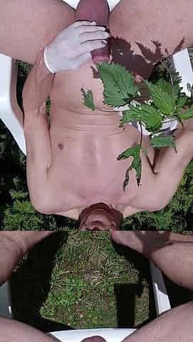 impure homo pig servenaked outdoor play with his uncut cock and foreskin lastly sounding dandelion and nettle