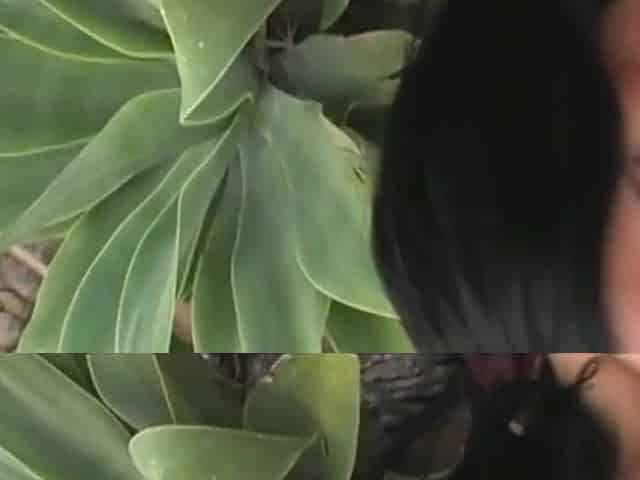 Veronica Rayne hot MILF sex video