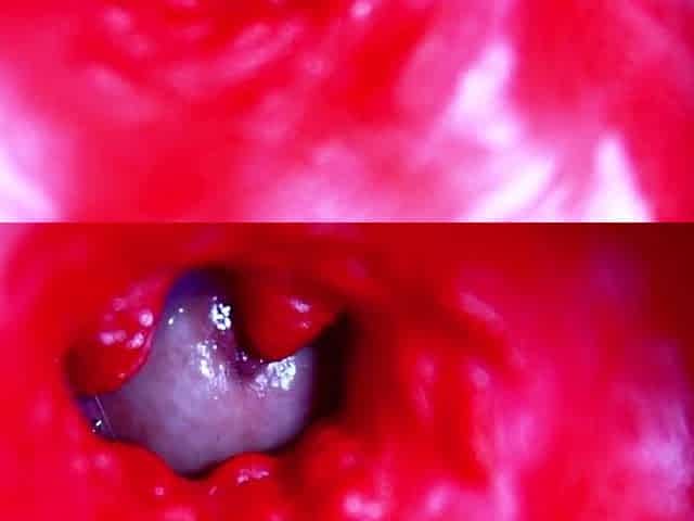 Bizarre close-up ASMR head inside soaked vagina
