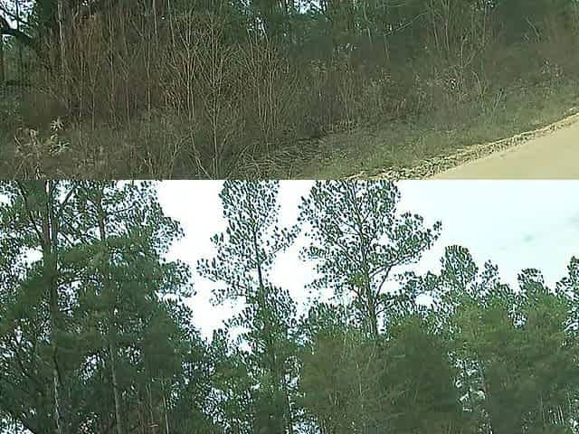 OMG I HAD TO PIDDLE SO BAD!! PISSING ON SIDE OF FOUL ROAD!!!!