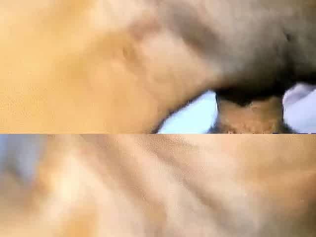 Interracial African Couple's Homemade Tape