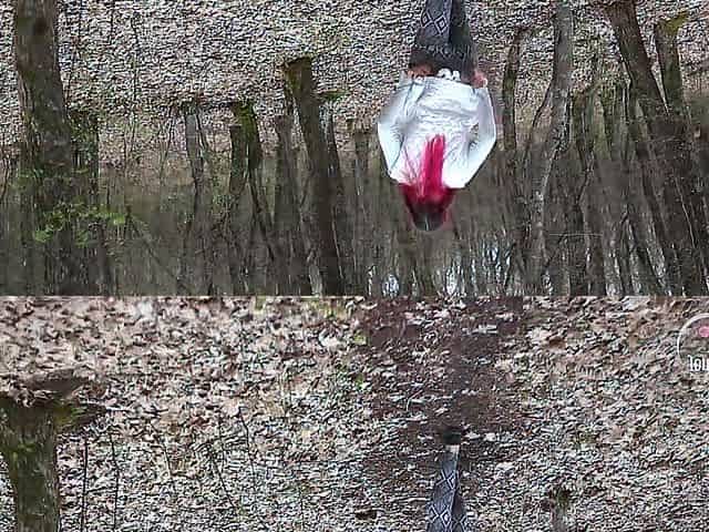 Fast oral and footjob in the spring forest with pinkhair beauty