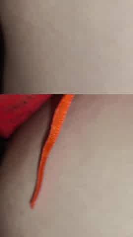 Girl Muslim 19 Years and Khaliji Big Cock