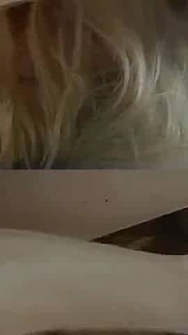 Wifes First Big Cock Fucks Her Good