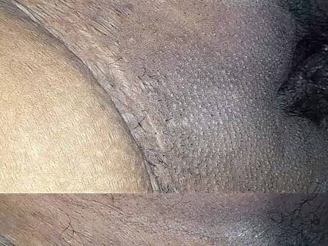 South Indian Tamil Couple Fucking Video