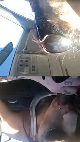 Goth doxy gets throated in car ride