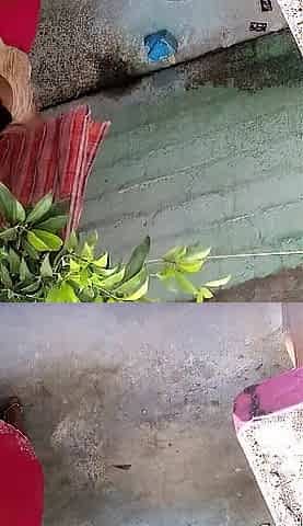 Tamil Aunty Bathing Outdoor