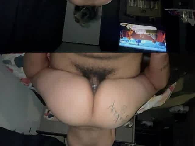 Breeding thick Latin chick