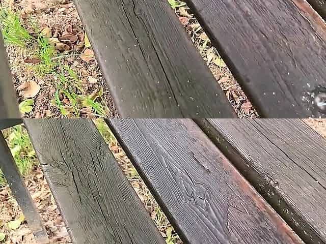 This wicked beauty was running but that babe stops to bang my penis