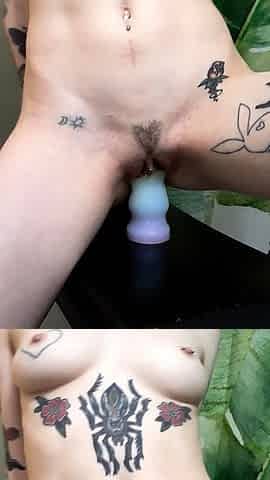 Amateur brunette ariana marie solo toying