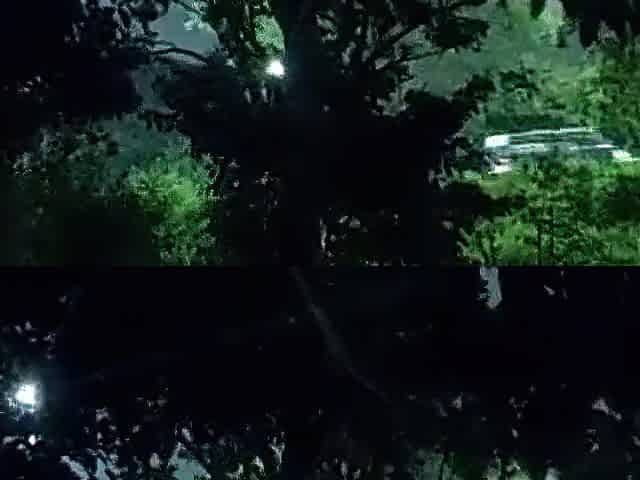 Fucking In The Park While Strangers Walked By