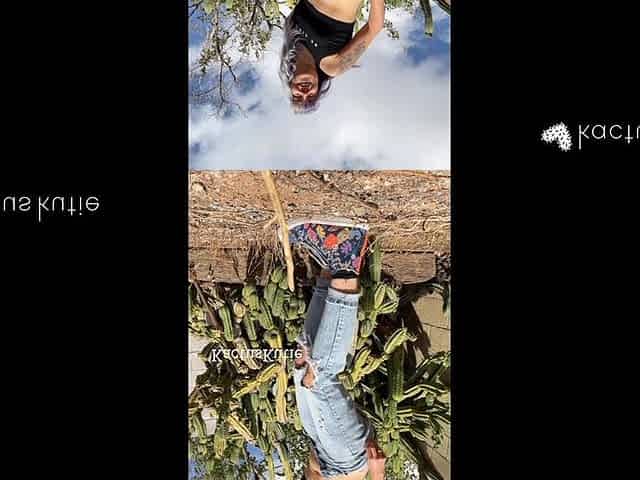 Cactus Pee Compilation 2
