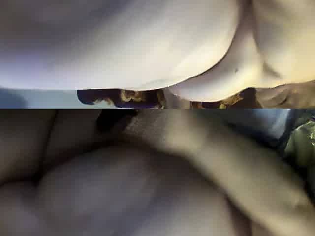 large momma booty