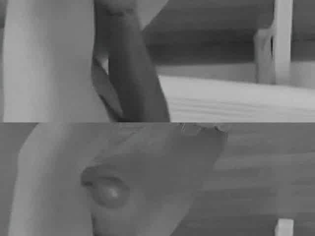Cum Discharged on the Face