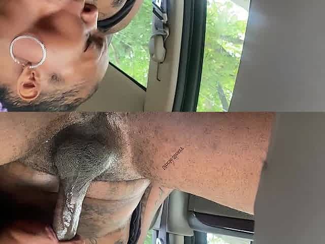 Car Oral job in public