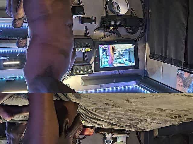 Sir Maxximus swings and strokes his Lengthy Thick Knob