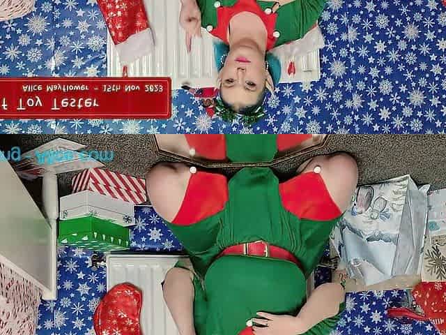 *** EXTENDED TRAILER MERELY *** Elf Toy Tester - Solo Cutie