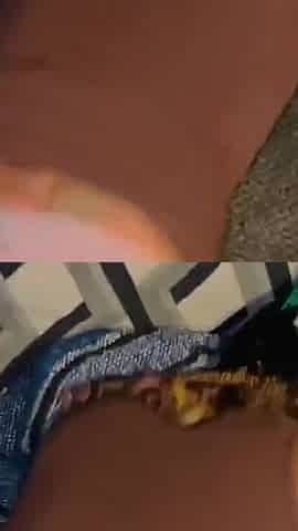Fill Me up with Your Delicious Cow Milk Pull Horny Cutie I Found on Sex-dater Vs Tinder