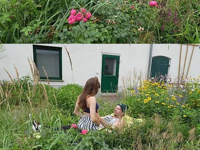 Summer Throwback - a Bed in the Flowerbed!!