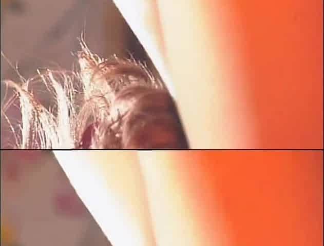 Brunette Horny MILF Suck a Big Cock Before She Get Fuck