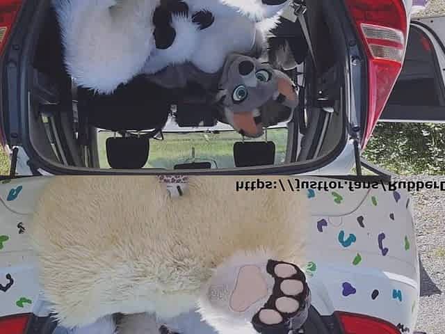 Fluffy car with fun