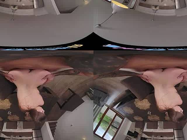 Overheersende Houding Met Die Mooie Vlaamse-seg3(4K)60fps - Vr porn