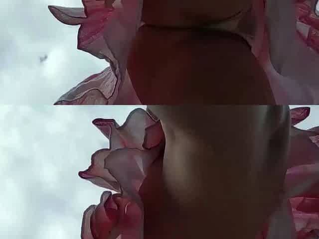 Curly Blonde Teen Records Solo Dildo Masturbation More at