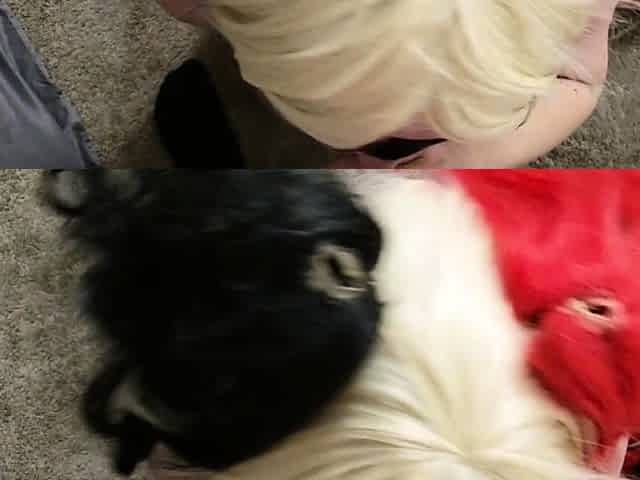 Lapdance and blowjob made by BIG boobs blonde