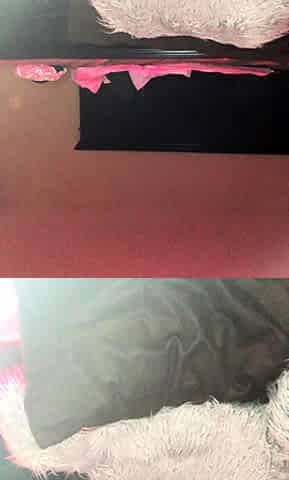 Amateur wild chick solo masturbation