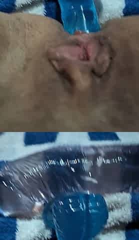 New Dildos DP MILF GILF Solo