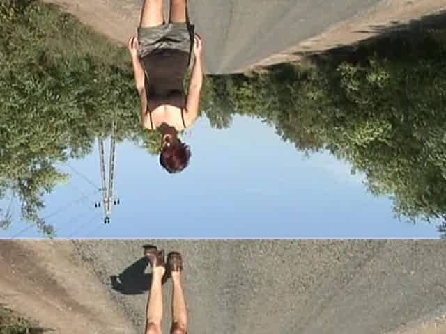 Pissing Right on the Street