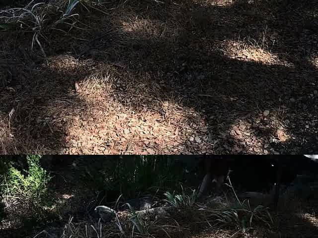 Girl next door gets fucked by the neighbor in the yard -