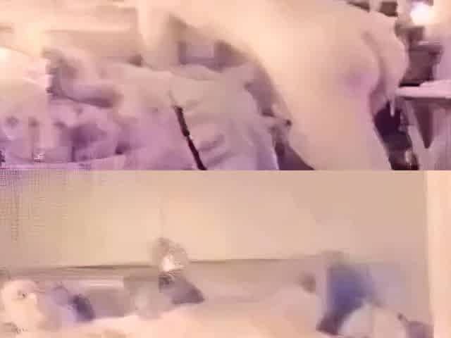 Girl's Amateur Threesome