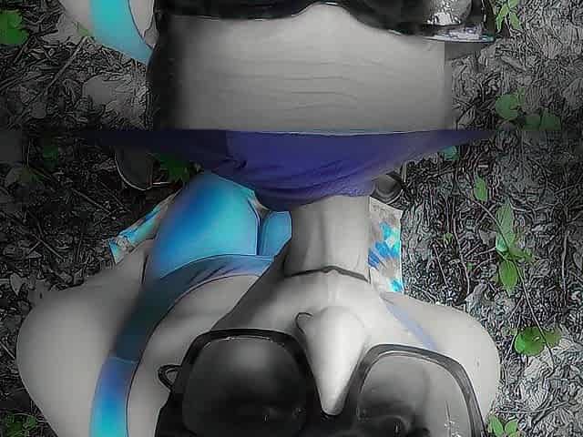 Deepthroat in the Forest