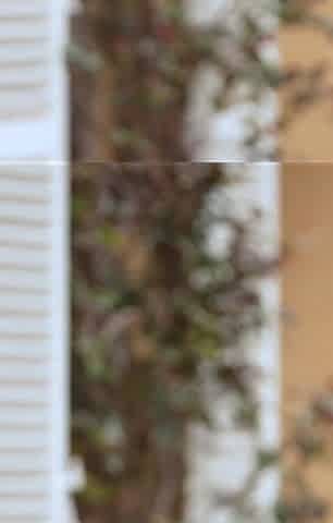 Swame House, French Porno Reality