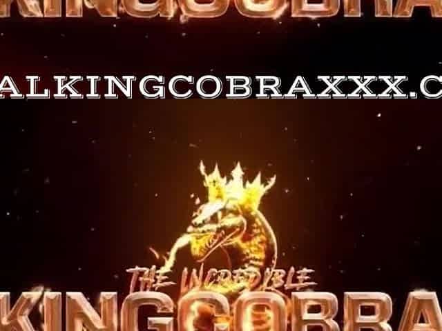 Swamp Barbees Anal Anniversary - King Cobra And Anal King