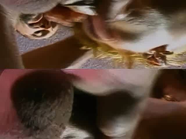 Husband Shares His Hot Wife