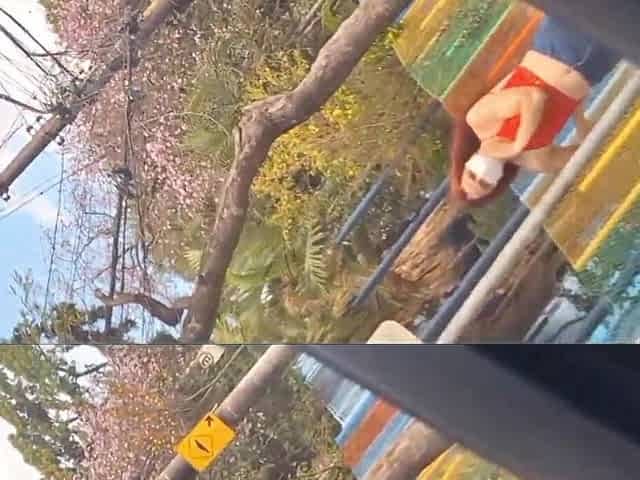 Risky masturbation in public for a student in public!