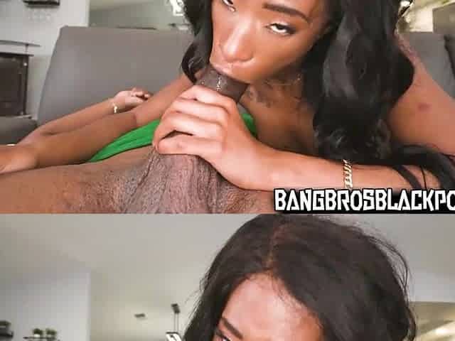 EBONY PORN COMPILATION #6 - Mini Studhorse, Ashley Aleigh, Lily Starfire.