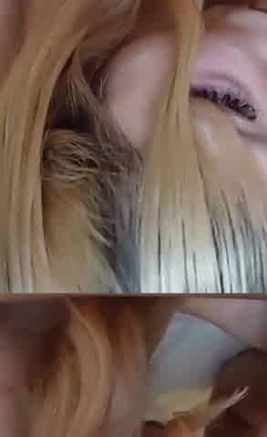 Asian Angel 26364