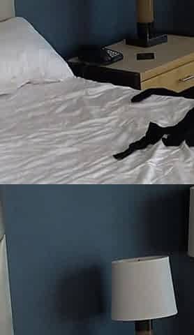 Will You Cum Inside of My Juicy Latin a Pussy with Your Thick Black Cock