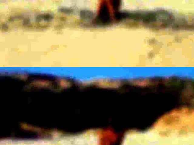 Sexy Couple's Public Beach Adventure